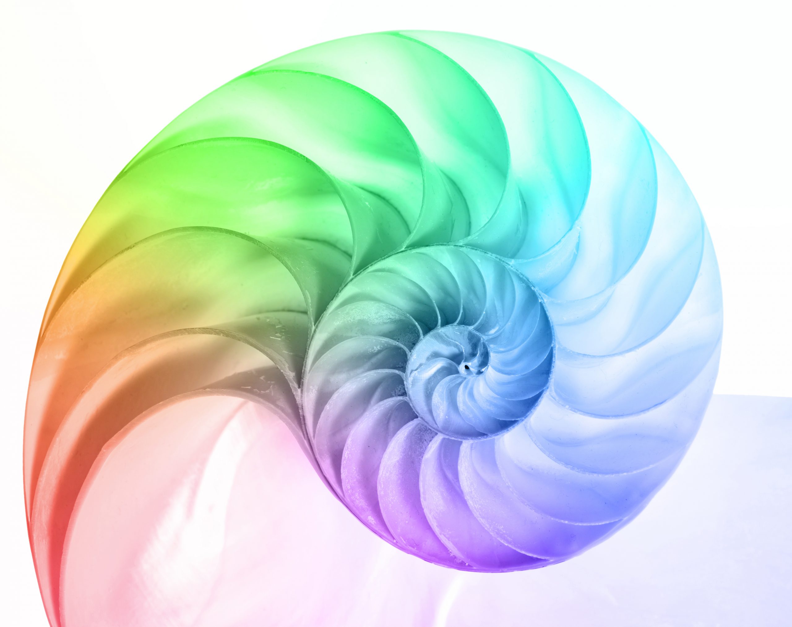 shutterstock_1349281736_Voc
